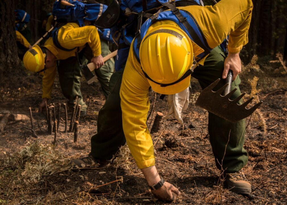 #25. Forest and conservation workers
